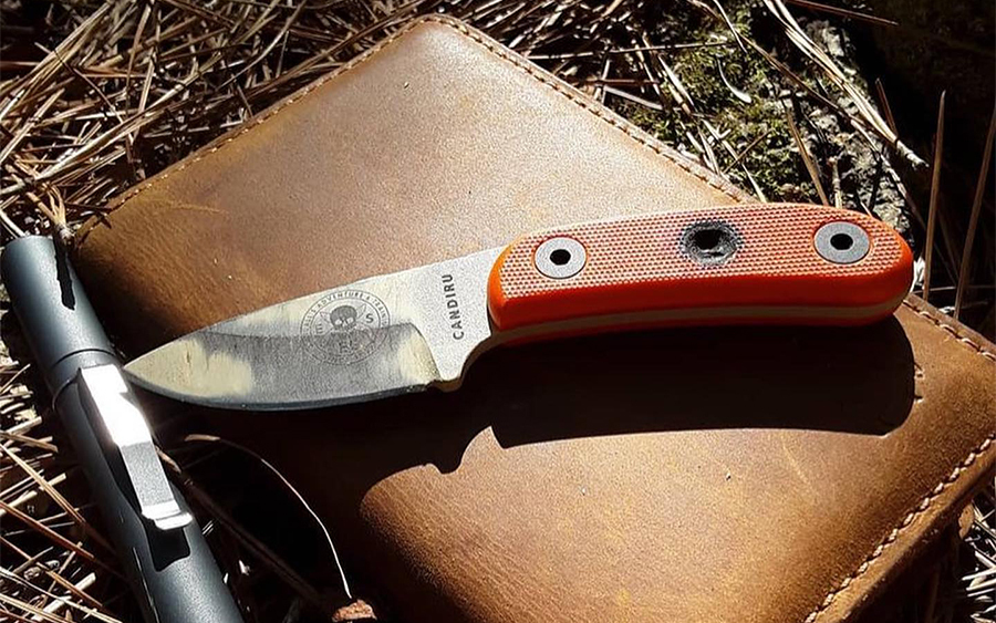 ESEE